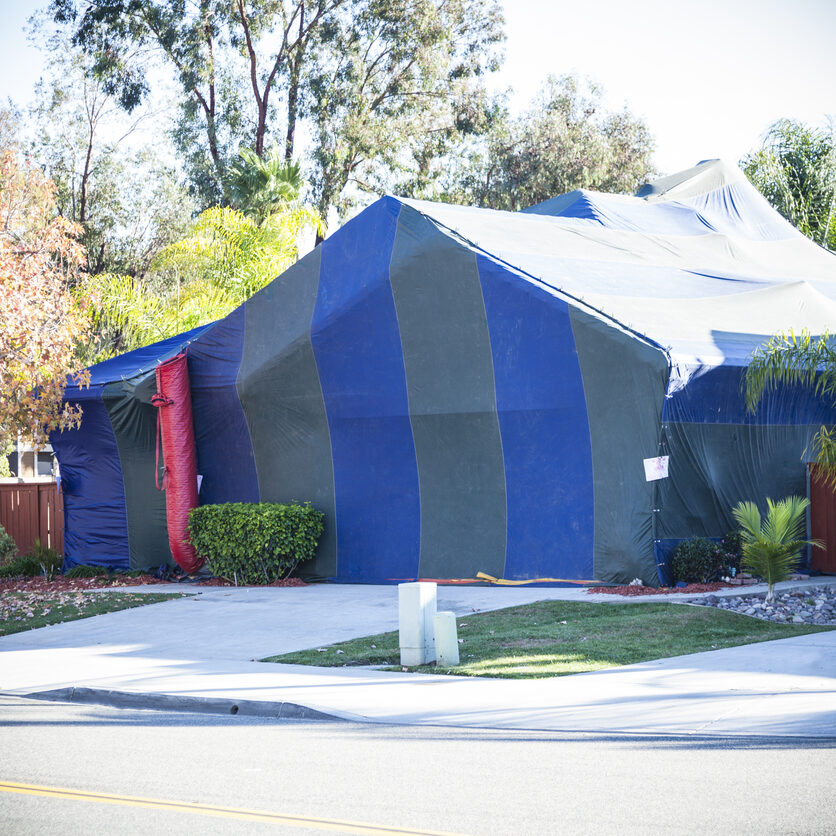Termite tent covering home.