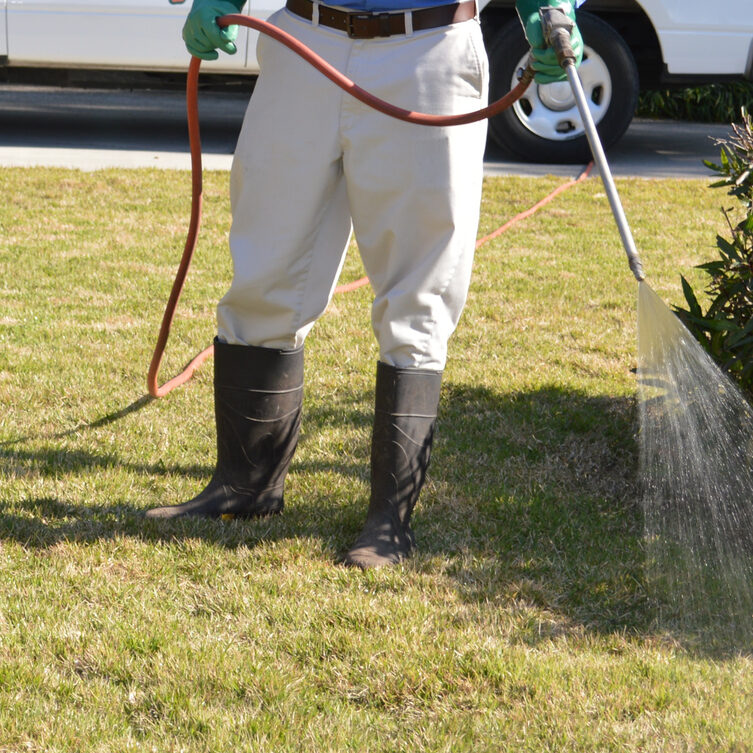 Man with rubber boots and rubber gloves spraying the lawn with fertilizer.